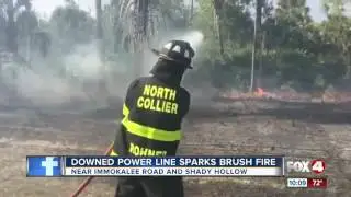 Power line sparks brush fire in Collier County