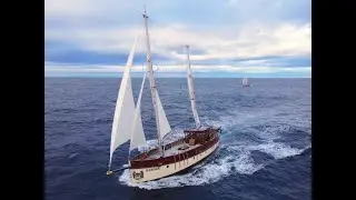 Hav&oslash;rn meets Guppy at sea EP-51