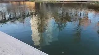 Around Most of the Pond