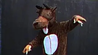 Moose Funk Squad - Habitat