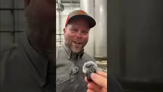 Country Boy Brewing: Duck Call Challenge