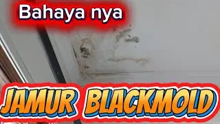 AWAS BAHAYA JAMUR BLACKMOLD DI DALAM RUMAH..!! #proyek#rumahminimalis#rumahidaman#seputarbangunan 