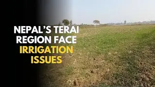 Dhanusha Farmers Struggle for Irrigation as Drought Threatens Wheat Crop #NtvWorld #psbnepal #NTV