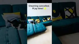 Cleaning Mission Impossible with Neo 🐶😂 | Cute Dog Shorts
