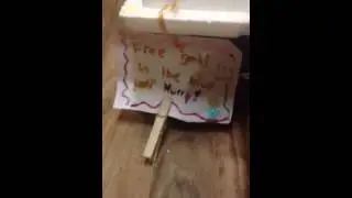 Leprechaun trap using simple machines