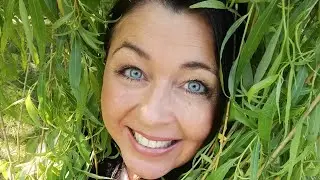 En tur rundt i haven🌳Hundene vil lege med vores høns🐔🐔😂🥰
