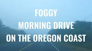 Foggy Morning Drive On THE OREGON COAST