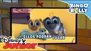 Bingo y Rolly: La casa de Bingo y Rolly en 360º | Disney Junior Oficial