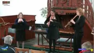 Lunchpauzeconcert van 7 november 2012 in de Oude Kerk Zoetermeer door de Red Rose Four