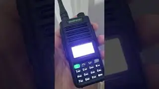 Minik Korsan Amatör Telsiz Rölesine Sabotaj yapıyor (Credits: TA3BS)