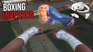 Boxing Underdog VR | Oculus Quest 3s | MMA