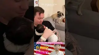 The Dog Sees the Baby for the First time ❤️ |#325| #shorts #funny #baby #dog #love #bestfriend #pets