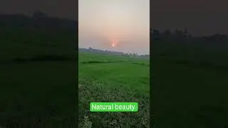 My village Natural beauty 🥰🥰🥰