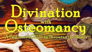 Divination with Osteomancy: A Beginner's Guide to Throwing the Bones