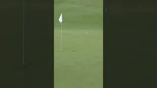 This albatross from Steph Kyriacou was down right insane 🤯