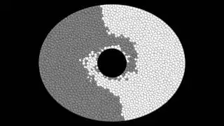 granular flow in elliptical cylinder with rigid inclusion