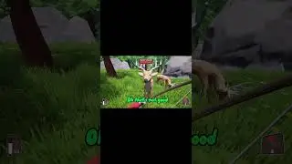 Totally Legit 360 in Oh Deer! #ohdeer