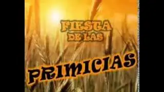 PRIMICIAS 2013