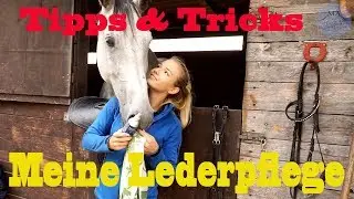 Meine LEDERPFLEGE | Tipps und Tricks | MA Chevaux De Sport