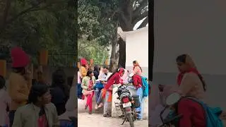 My college T.S college hisua 🤔👌 #youtube #bihar #college #shots