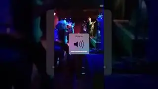 El oso polar elemento5