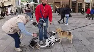 Paris animal walk 2025