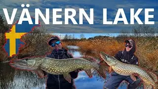 CHYT&Aacute;N&Iacute; &Scaron;TIK VE &Scaron;V&Eacute;DSKU NA JEZEŘE VANERN / PIKE FISHING ON THE VANERN LAKE