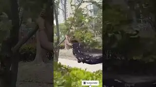 Crazy Wind Moment  #shorts
