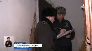 Пенсионерка восемь лет терроризирует жителей подъезда