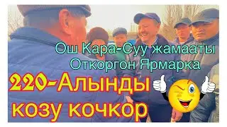 Кара-суу Жамааты откоргон ярмарка толук видео @BARPYKG 