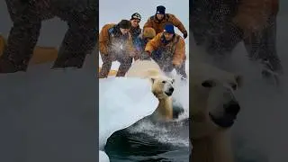 FROZEN ALIVE! Polar Bear Trapped in Ice &ndash; INSANE Arctic Rescue