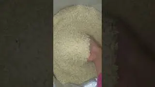 Eating raw rice #satisfyingsounds #satisfyingasmr  #rawrice #rawriceasmr