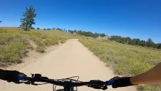 Alpine Singletrack in SoCal???