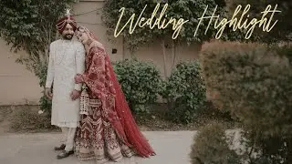 SIKH WEDDING HIGHLIGHT 4K 2025  |  DARSH & HARMAN | @SDphotography_