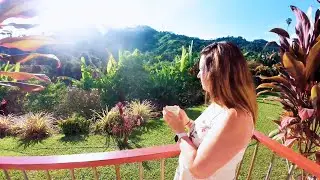 Colombia IX (Filandia y Hacienda Venecia)