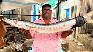 #KADIMEDU MINNAL RAJA SHEELA FISH CUTTING #KASIMEDU #KASIMEDU MEENGAL