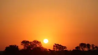 USTOA Travel Together: Discover the Freedom of Traveling with USTOA