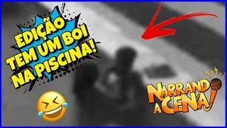 🔴 NARRANDO A CENA | EDIÇÃO TEM UM BOI NA PISCINA #resenha #humor #viralvideos