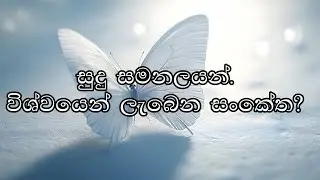 සුදු සමනලයාගේ ආධ්&zwj;යාත්මික ගමන: පරිවර්තනය සහ ආශාවේ සංකේතය | The White Butterfly Meaning