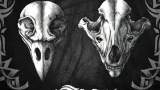 SHAHMEN - Wolf (Prod. by SENSE)