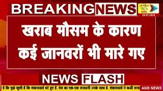 अफगानिस्तान में 3 दिनों हुई भारी बर्फबारी : ANB NEWS