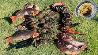 2 Days Spearfishing with GOD & BEST Fish Tacos on Earth