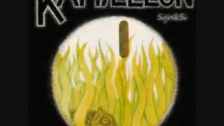Kam&aelig;leon - Dunhammer