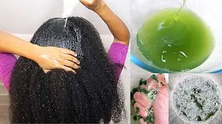 A Caribbean Hair Growth Secret You Should Know About : GLISÉRIN NATURAL SHAMPOO