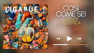 COSI COME SEI - Luciano Ligabue - Cover Acustica