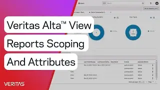 Veritas Alta&trade; View Reports Scoping and Attributes