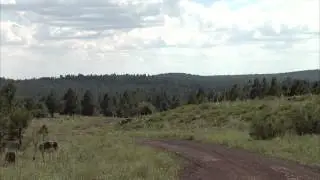 Big Brothers Big Sisters of Flagstaff Raising Money with 5K