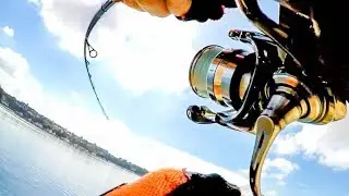 Kingfish SLAMS Lure At Full Speed And Smokes Me! Insane Hookup Landbased