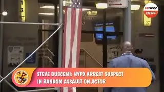 Steve Buscemi: NYPD arrest suspect in random assault on actor
