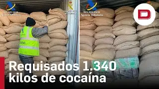 Requisados 1.340 kilos de coca&iacute;na en varios contenedores en el puerto Barcelona
